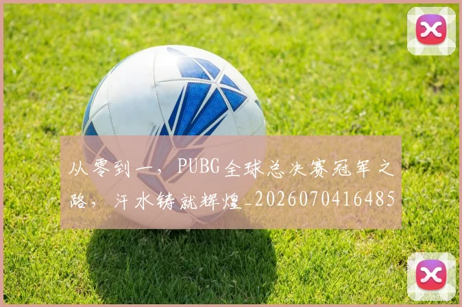 从零到一,PUBG全球总决赛冠军之路,汗水铸就辉煌_20260704164858